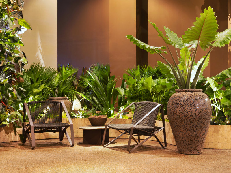 Conexão Natural: a estreia de Renata Guastelli na CASACOR 2024